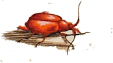 Gezeichnetes leeres Wespennest